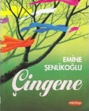 Çingene
